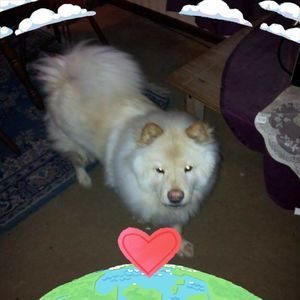 Meet your Posher, Sean